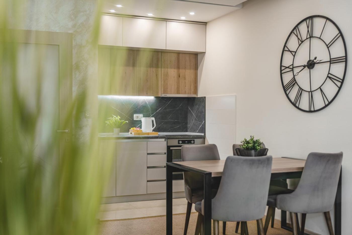 Harmony Apartments ポドゴリツァ エクステリア 写真